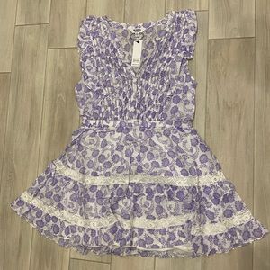 NWT BB Dakota x Steve Madden Mariposa Ruffle Sleeve Fit & Flare Dress SIZE XL